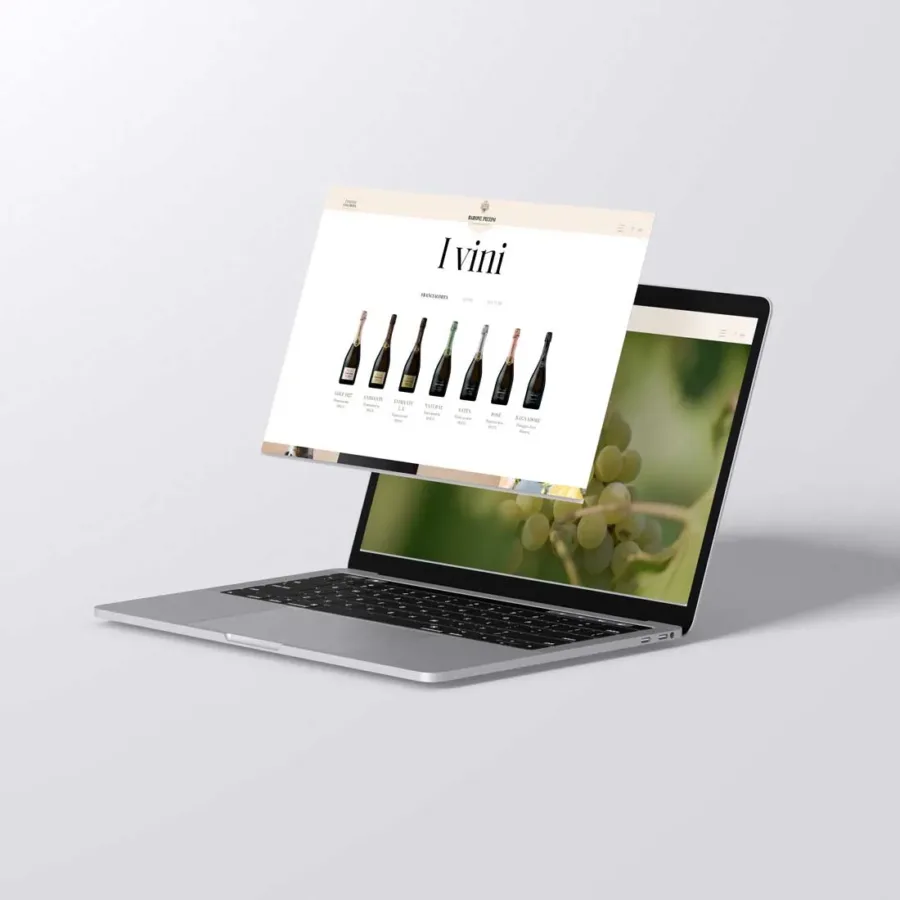Sito web Barone Pizzini
