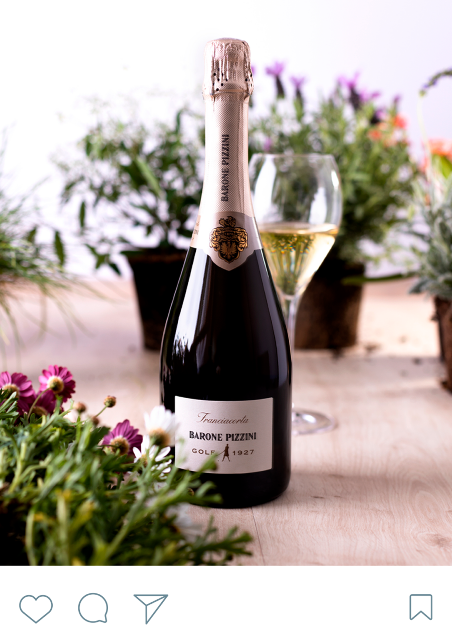 Barone Pizzini Golf wine design