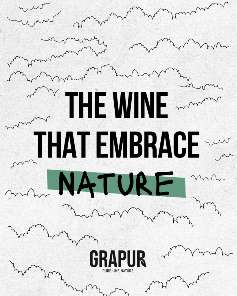 Grapur_carosello vinitaly PLUS 2025 A