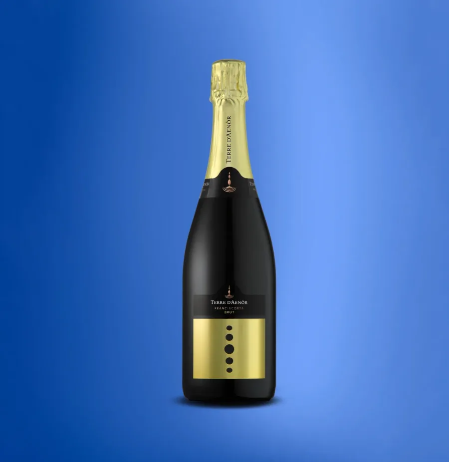 Terre d'Aenor brut