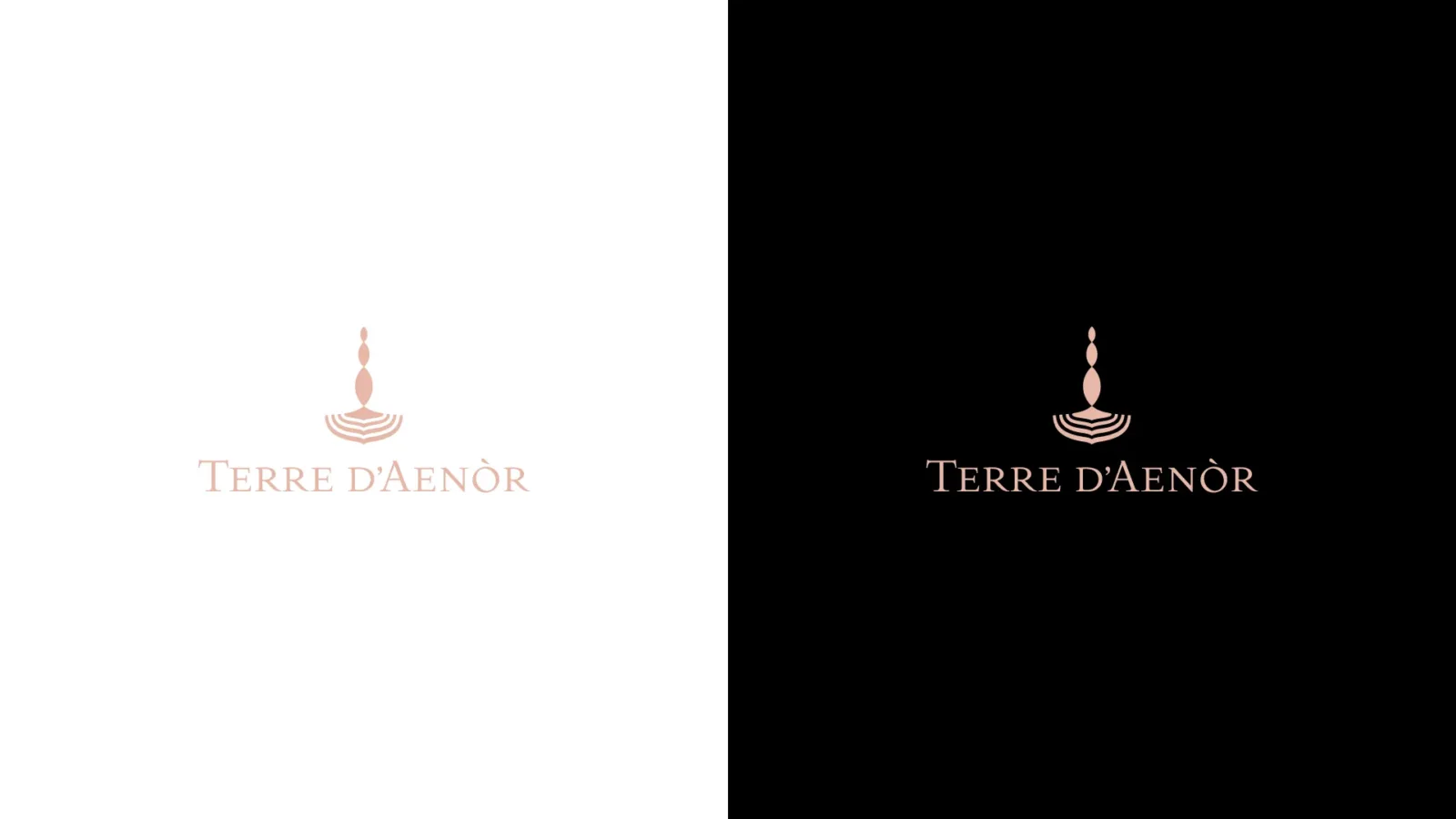 terre d-aenor logo colori