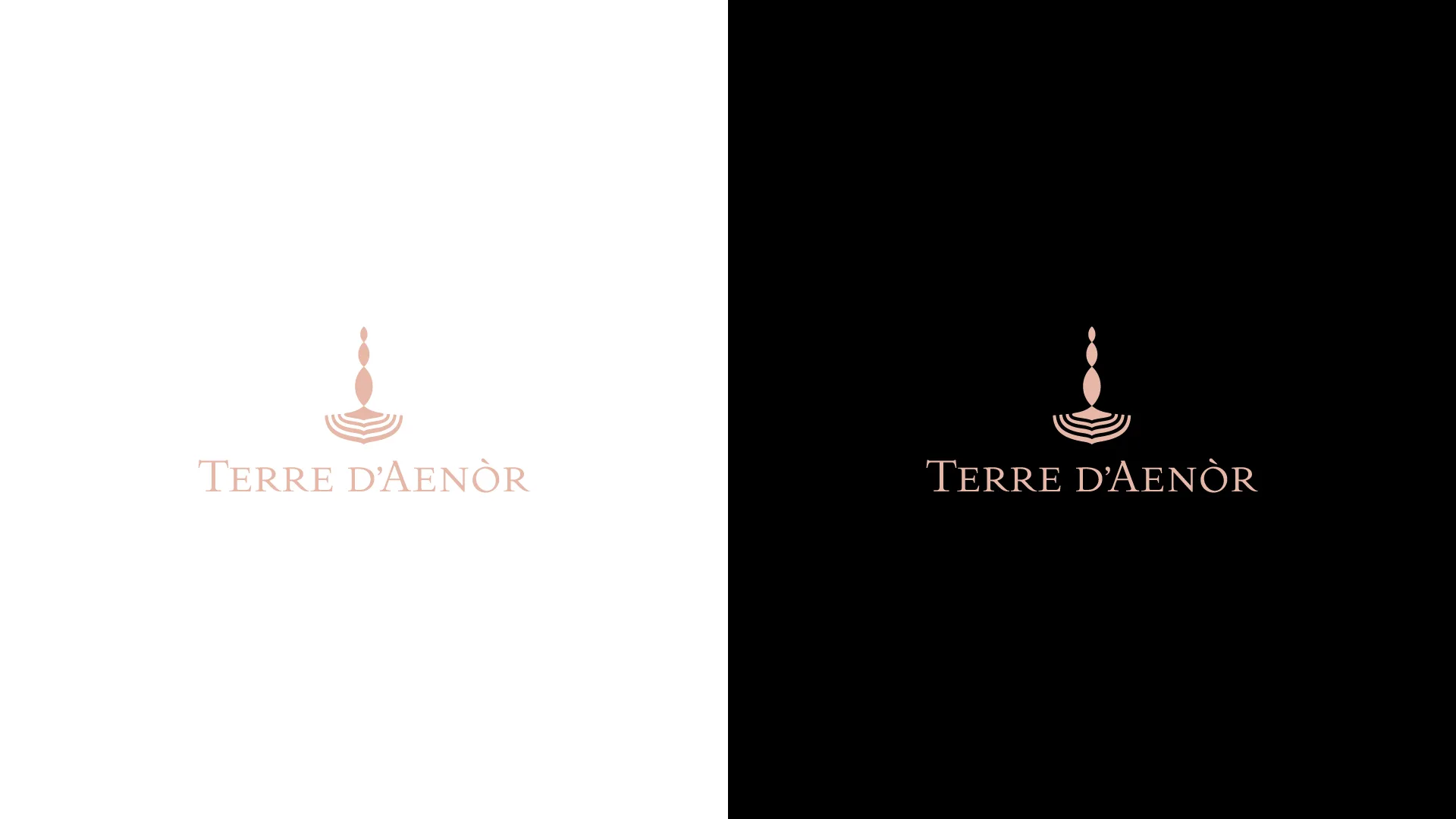 terre daenor logo brand
