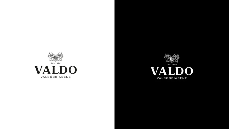 applicazione e sviluppo brand valdo
