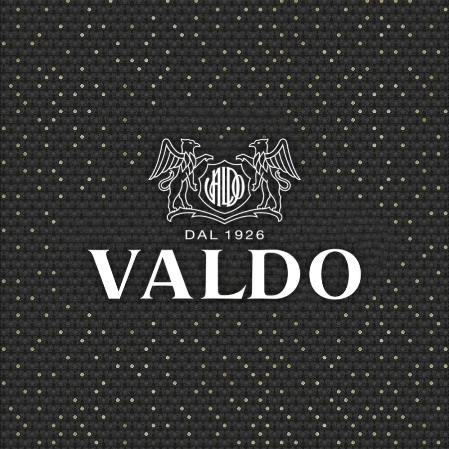 Valdo branding
