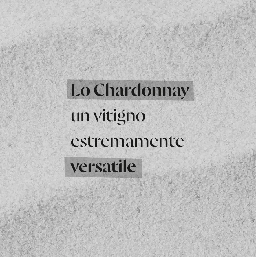 Centinari: La tecnica: strategia editoriale, visual system e contenuti a misura di feed