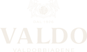 Valdo