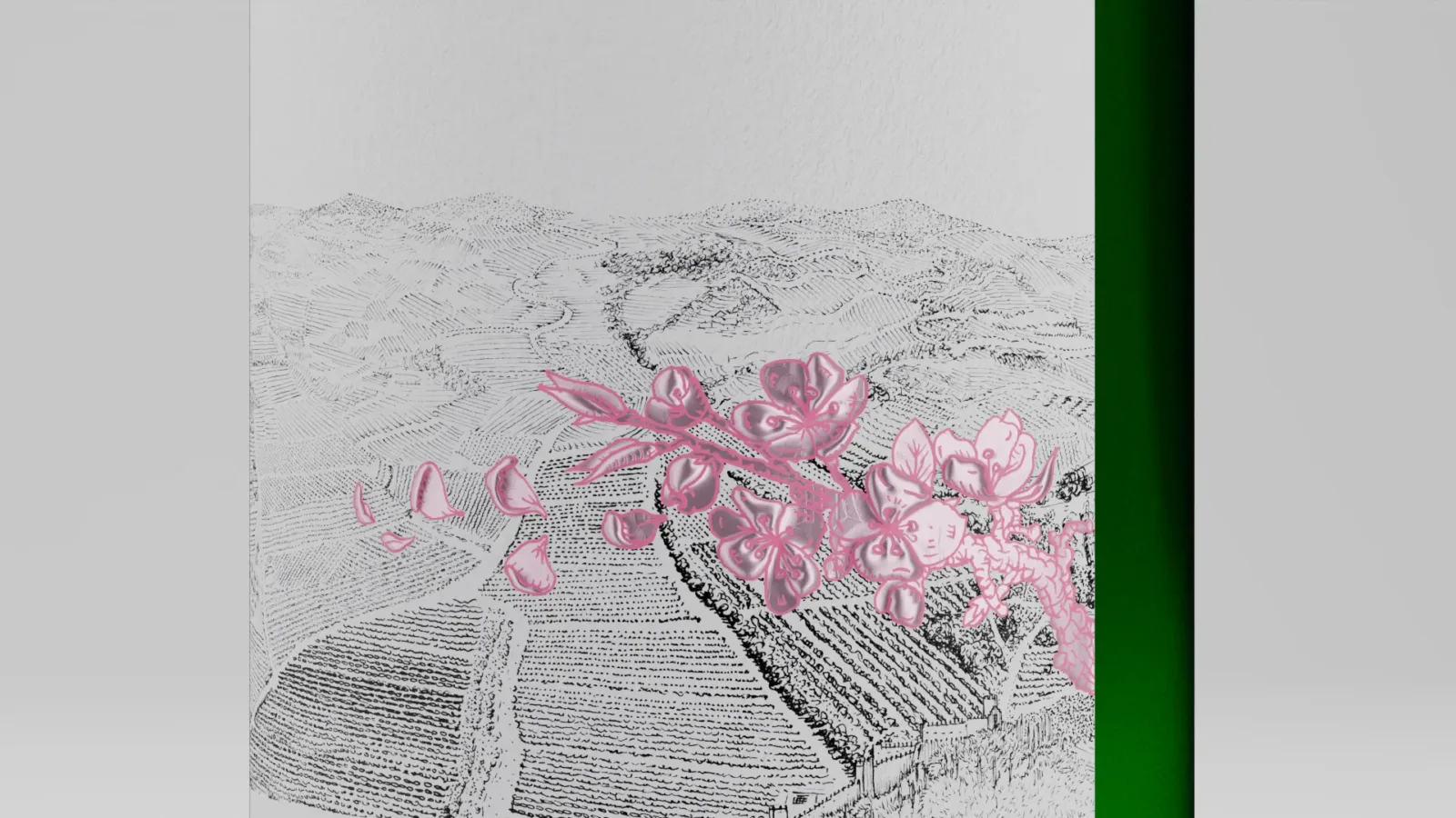 Peaks&Valley wine labels detail