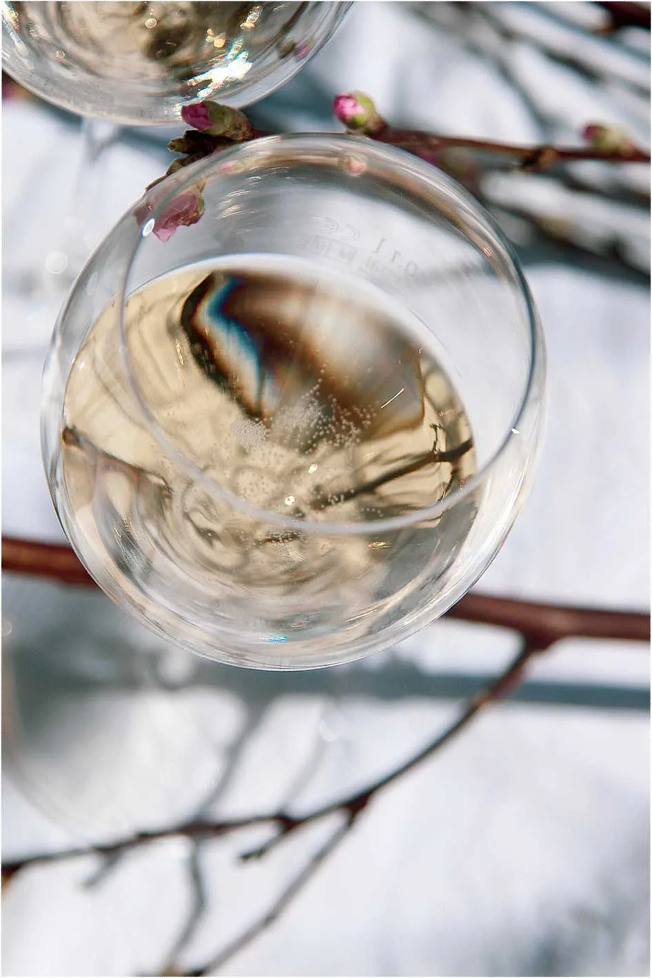 Marketing and strategy for wineries
