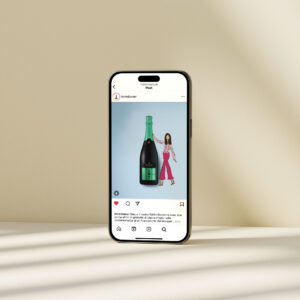 Gestione social terred'aenor